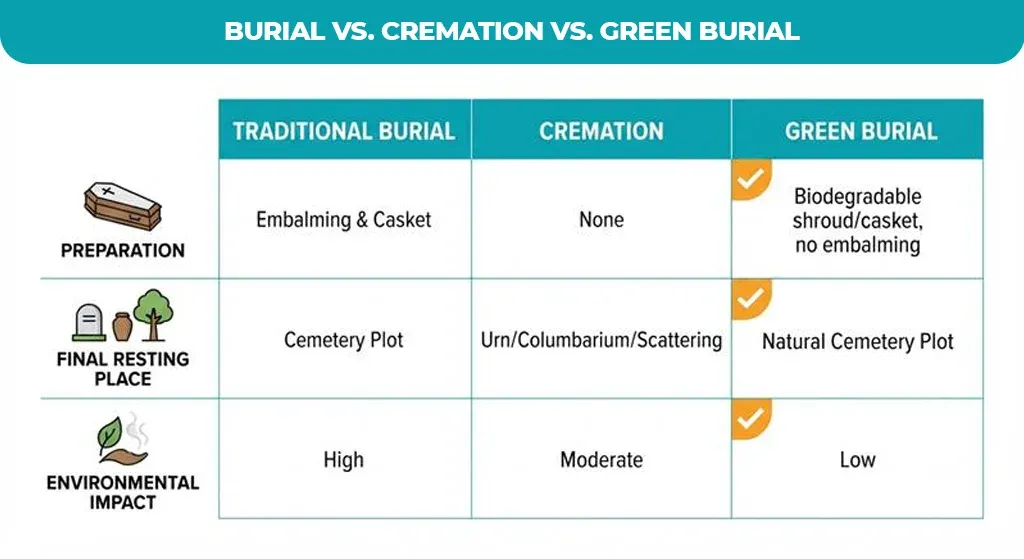 Burial-vs.-Cremation-vs.-Green-Burial