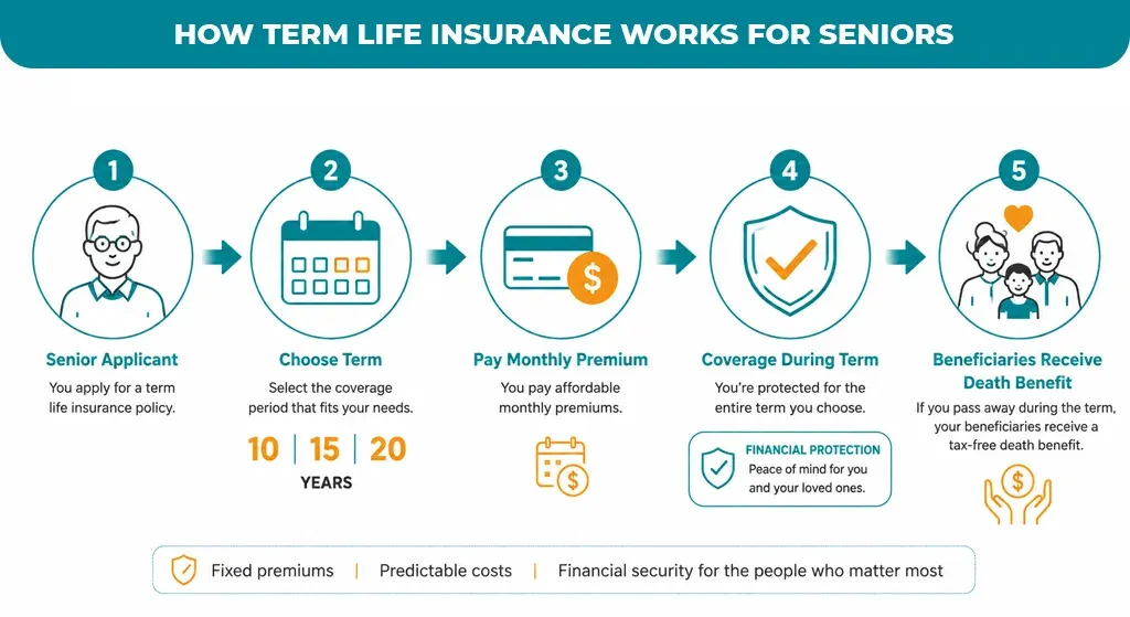 How-Term-Life-Insurance-Works-for-Seniors