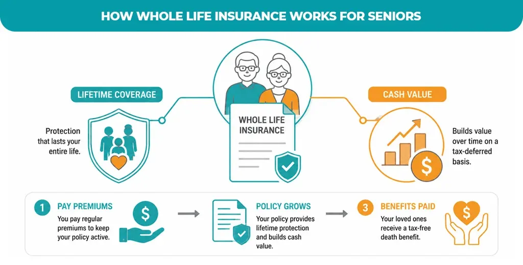 Whole Life Insurance Works For Seniors
