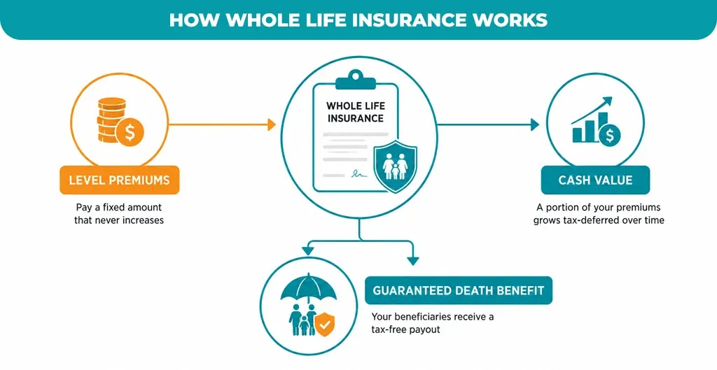 How Whole Life Insurance Works