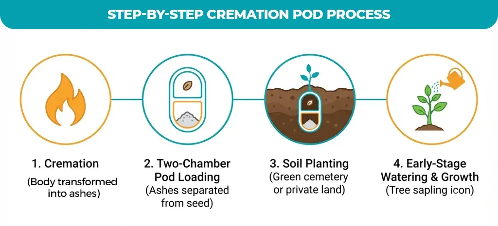 Step-by-Step-Cremation-Pod-Process