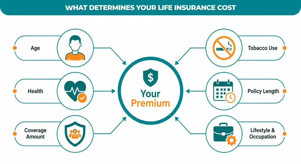 What Determines Your Life Insurance Cost