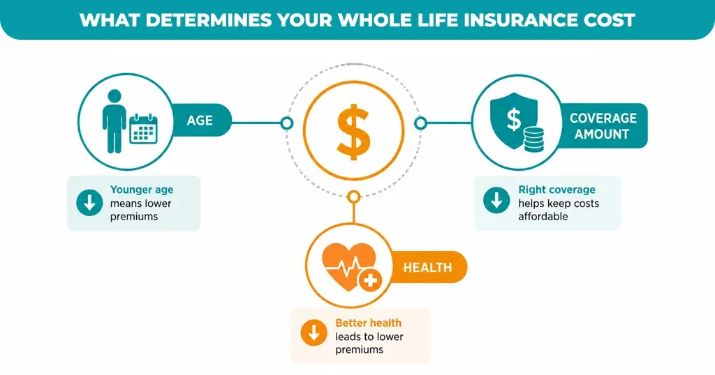 What Determines Your Whole Life Insurance Cost 