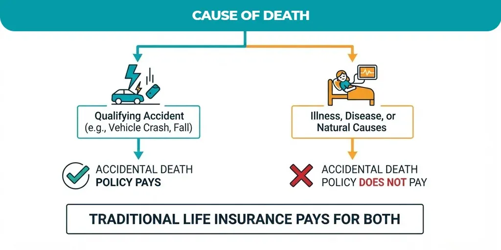 Cause-OF-Death