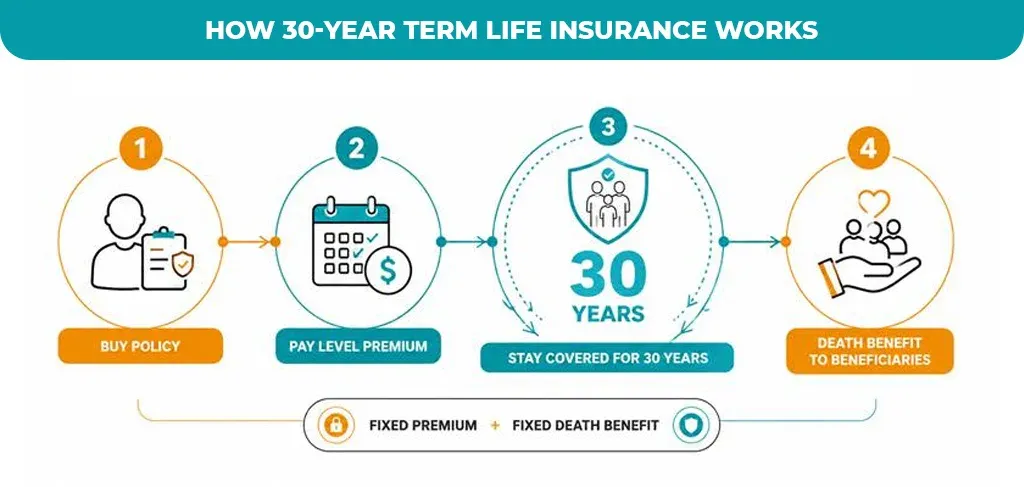 How-30-Year-Term-Life-Insurance-Works