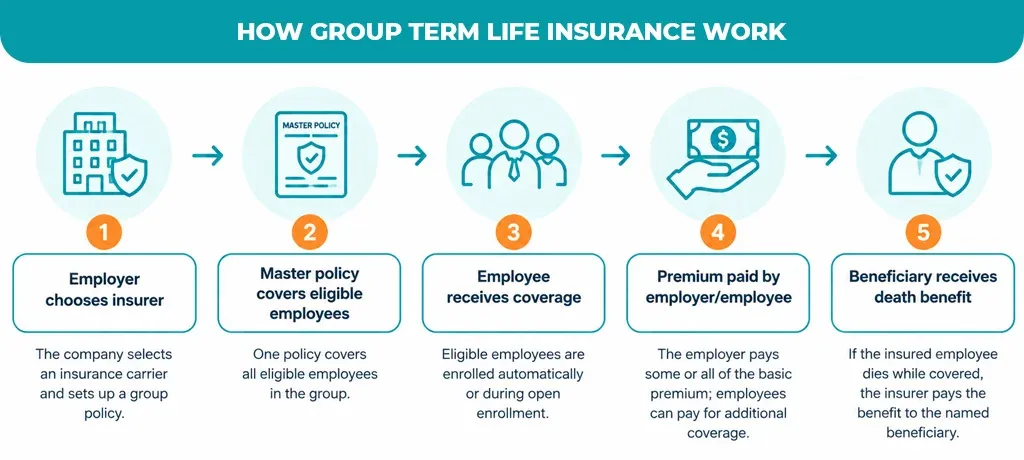 How Group Term Life Insurance Works