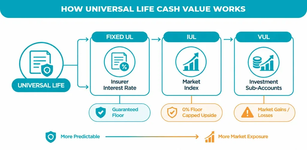 How-Universal-Life-Cash-Value-Works