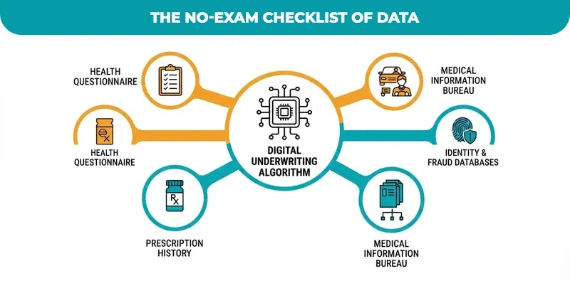 The No-Exam Checklist of Data