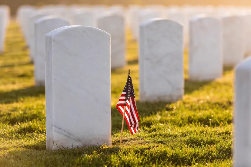 cremation vs burial